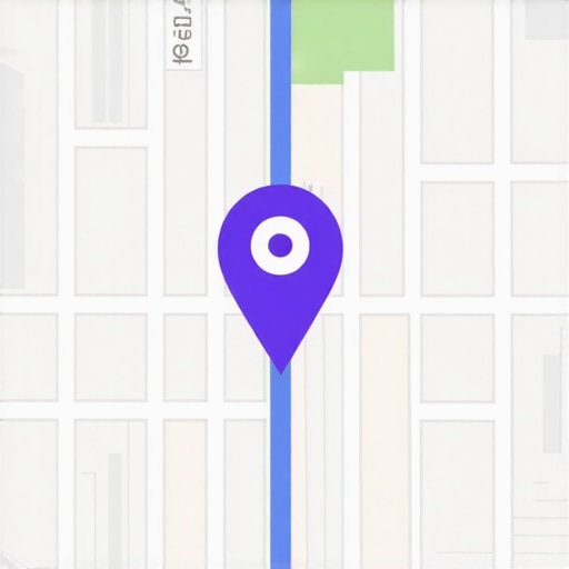 Google Maps Optimization Techniques: Achieve Top 3 Pack Placement Fast